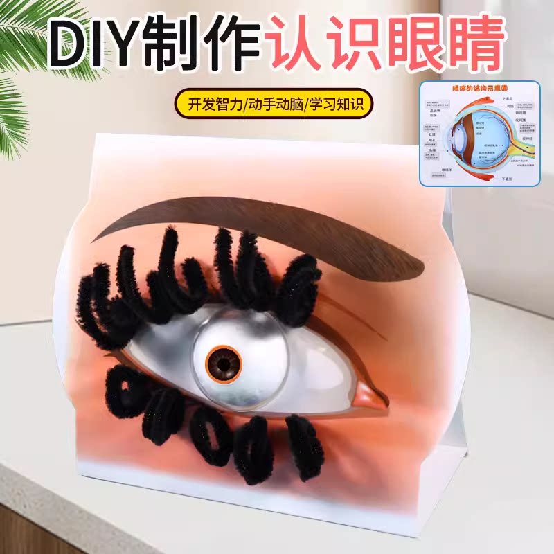 自制眼睛模型幼儿园趣味科学小实验小发明diy手工制作教具材料包