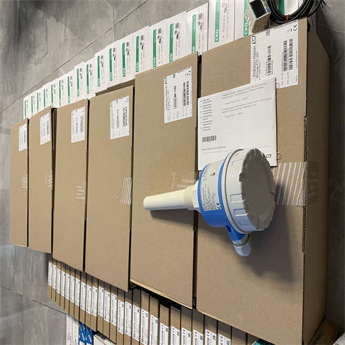 E+H浊度分析仪CUS51D-AAD1A4暂时有货