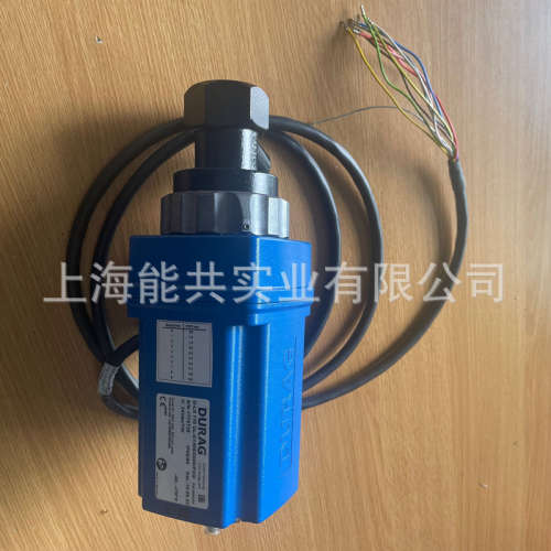 德国DURAG D-LX 110 UL-C1/M5/0000/PCG火焰监测器探测器火检探头