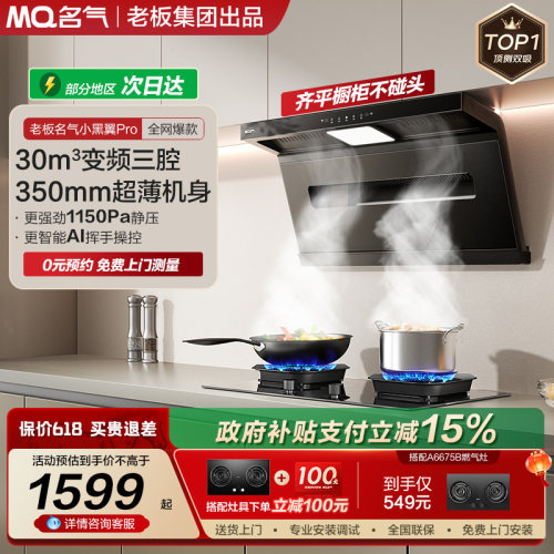 名气小黑翼顶测双吸油烟机自旋洗