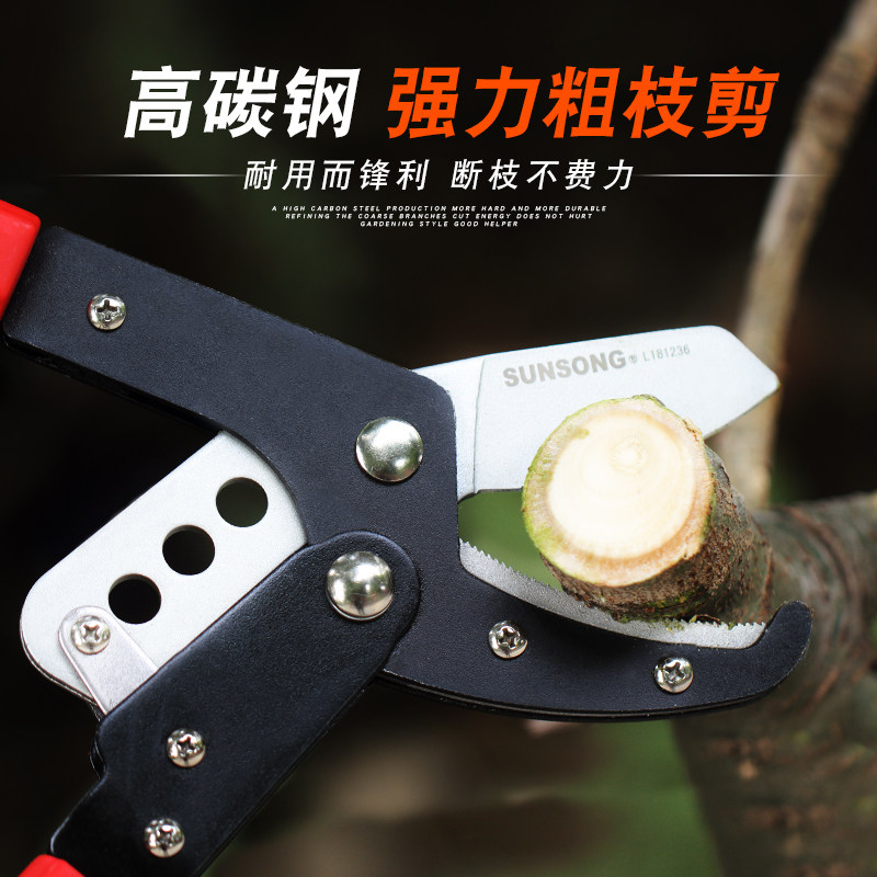 新款园艺大力剪树剪子省力修枝剪修剪树枝果树剪刀园林工具粗枝剪_虎窝淘