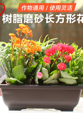 爱丽思园艺黑色长方形花盆花托树脂磨砂花盆花卉绿植多肉育苗盆