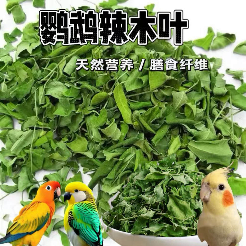 鹦鹉专用辣木叶虎皮牡丹玄凤奖励