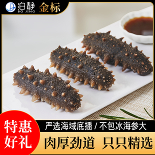 泊静金标即食海参不包冰个大肉厚劲道底播辽刺参顺丰包邮高端品质