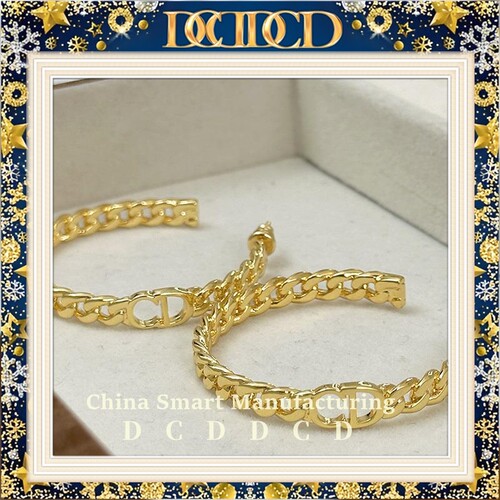 D C D D C D家CD新款耳环女欧美高级感链条耳圈气质名媛大气耳饰