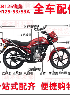 适用本田摩托车配件锐彪SDH125-53/53A外壳CB125头罩大灯减震仪表