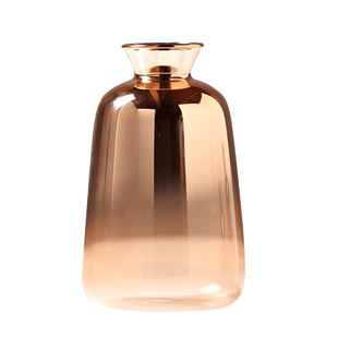 ins现代简约玻璃花瓶插花摆件家居客厅电视柜装饰品水培小干花器