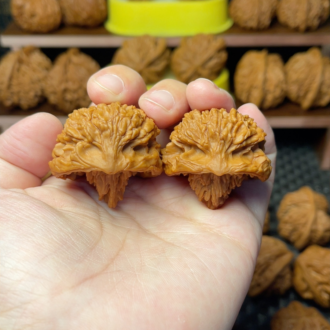 金山聚宝盆,餐饮具,功夫茶具,淘宝优惠券,粉丝福利购,淘宝优惠卷