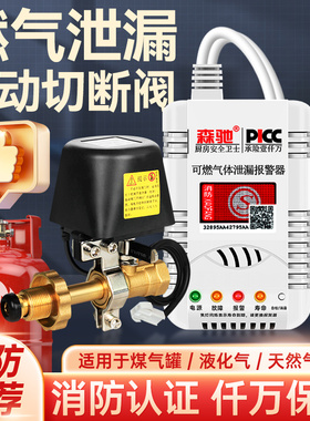 燃气安全阀煤气罐泄漏报警器自动切断阀商用饭店液化气泄露警报器
