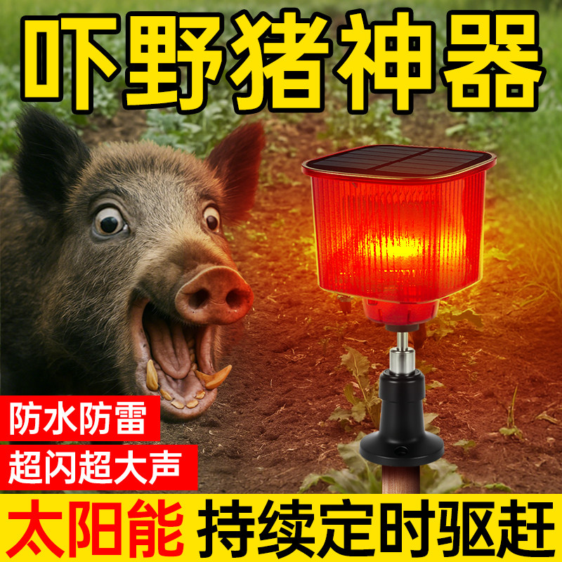 【野猪不敢来！】太阳能驱赶器