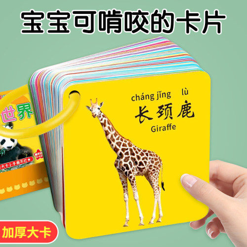 识字卡片早教启蒙书儿童益智玩具