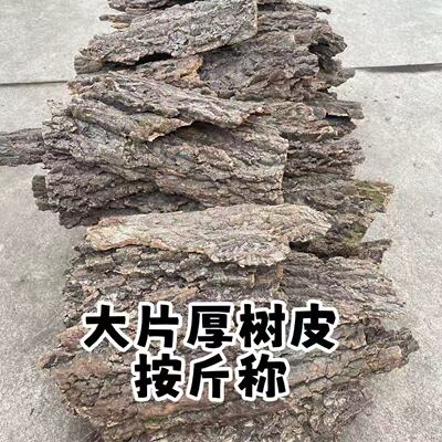 真香槟软木树皮蝴蝶兰石斛挂板