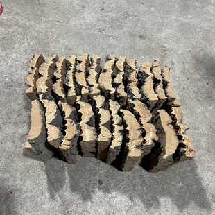 香槟树皮超厚2-3厘米天然软木树皮蝴蝶兰石斛鹿角蕨墙面种植挂板