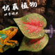 爬虫仿真植物造景装 饰叶子爬宠鬃狮蜥变色龙饲养箱喂水绿植带吸盘