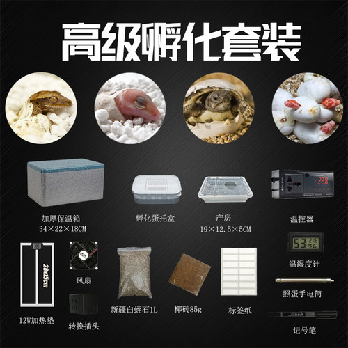 爬宠孵化盒套装孵蛋器蛋托爬虫守宫乌龟鬃狮蜥蜴蛇DIY孵化箱套餐