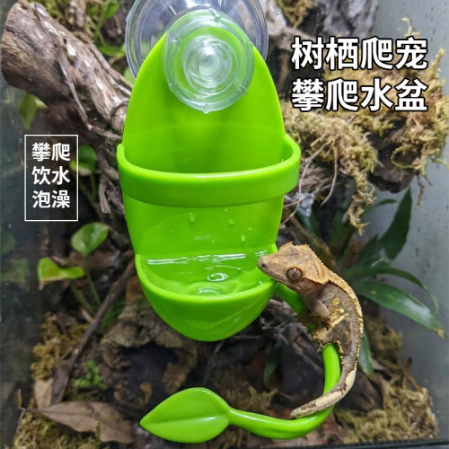 树栖爬宠吸盘攀爬泡澡造景架