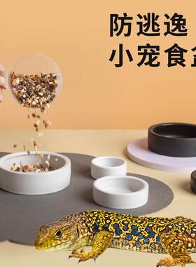 爬宠防逃逸陶瓷盆圆形白色