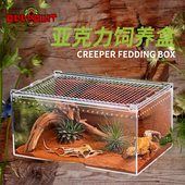 爬虫亚克力饲养盒爬宠盒守宫蜥蜴角蛙宠物蛇推拉式 磁吸透明爬箱缸