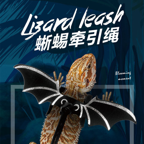 nomo蜥蜴牵引绳户外遛绳防逃逸