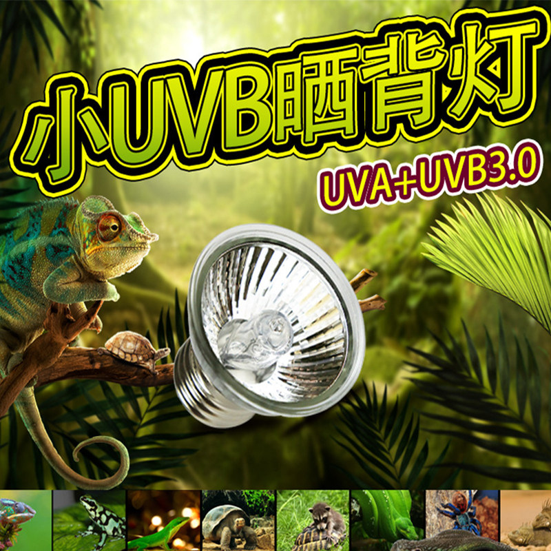 诺摩晒背灯加热保温乌龟晒背灯