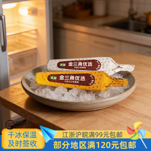 天淇金三角优选巧克力雪糕1盒10支700克