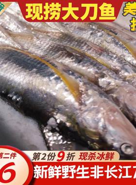 刀鱼食用处理冰鲜活杀扬中江长聚餐三鲜2345两半斤特大非冻年夜饭