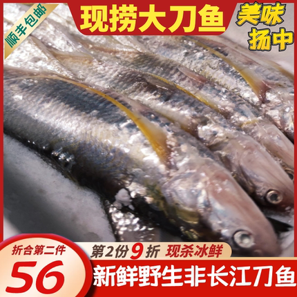 刀鱼食用处理冰鲜活杀扬中江长聚餐三鲜2345两半斤特大非冻清明前