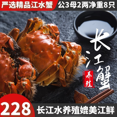 8只现货特大闸蟹鲜活长江水养殖江心源螃蟹礼盒非阳澄兴化全母