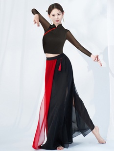 春夏新款古典舞成人舞蹈服中国风现代民族爵士舞黑色练功服演出服