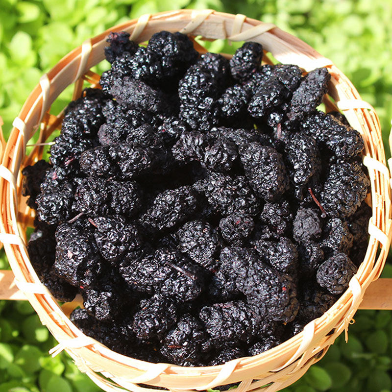 黑桑葚干果干农家烤干桑椹果无添加剂头茬桑葚子泡茶泡水即食果干,零食/坚果/特产,桑椹干,淘宝优惠券,粉丝福利购,淘宝优惠卷