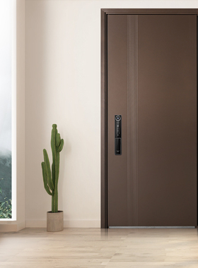 WL王力安全防盗门入户门进户门子母门家用大门GL2503Z