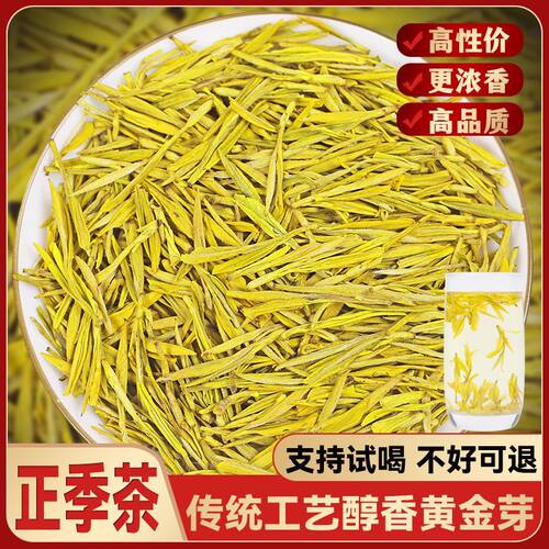 新茶黄金芽浓香耐泡好喝