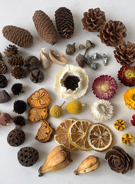 松果肉桂柠檬干花干果壳组合套装幼儿园小摆件拍照道具香薰装饰品