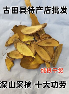 野生十大功劳根 猫儿刺 土黄连 八角刺 刺黄芩 黄天竹根 纯根干货