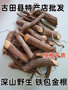 福建野生铁包金根 老鼠耳根 乌龙根 勾儿茶 原生态纯根干货 包邮