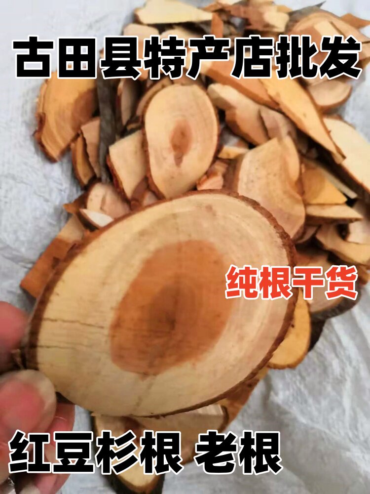 红豆杉根 红豆杉树根 中药材 南方红豆杉树根 红豆杉根 纯根包邮