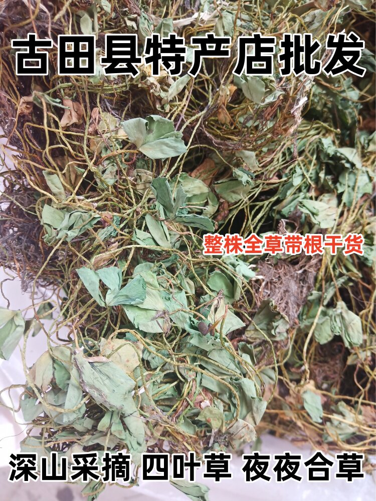 野生夜夜合草 青草药材 浮萍草 水萍草 田字草四叶草整株全草干货