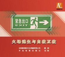 安全教育 讲师团火场逃生与自救互救2DVD讲座光盘 xs