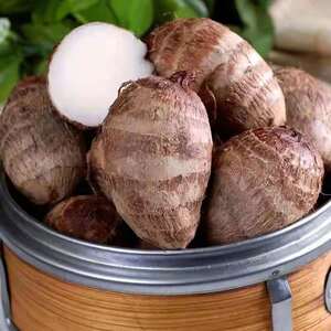 23芋头山东小芋头新鲜蔬菜农家毛芋头香芋芋艿非荔浦芋头5斤包邮