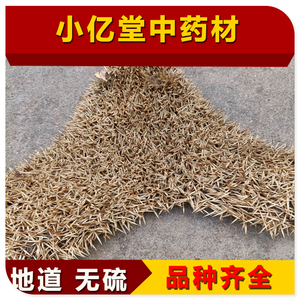 中药材刺猬皮中药材500g新货整张烘干仙人衣炒刺鼠皮毛刺球子皮粉