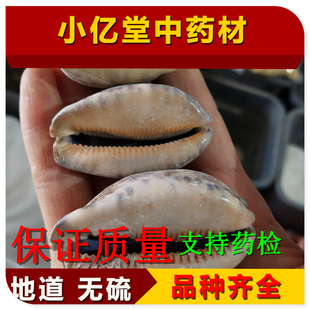 中药材紫贝齿中药材 海南正品 紫贝 紫贝子 贝齿 特级大个100