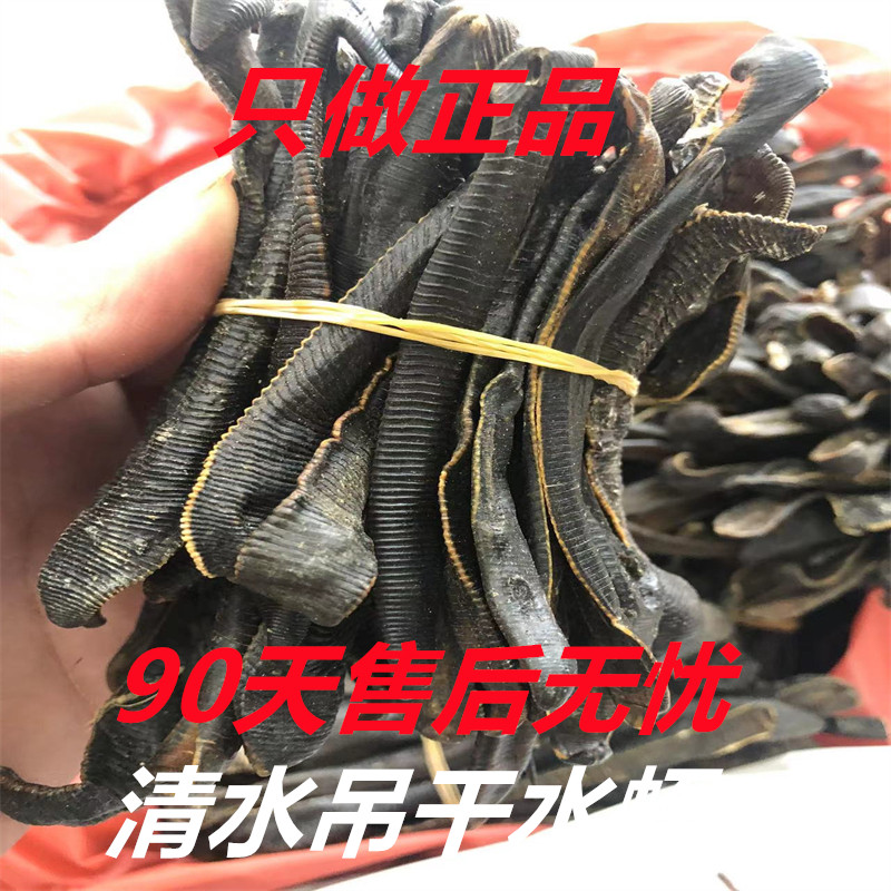 中药材水蛭中药材10克包邮特级货蚂蟥活瘀无盐无矾清水吊干水