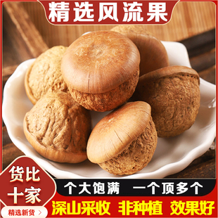 中药材风流果野生西藏风流果天竺粒泡酒料龟头子风流果500克 包邮