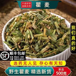 中药材正品新货瞿麦 巨麦 翟麦 石竹/巨句 山瞿麦竹节草500克包邮