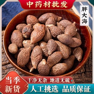 胖大海500g正品泡水润喉茶咽清另售特级散装菊花金银花罗汉果甘草