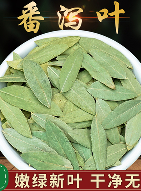 天然番泻叶500g包邮袋装番茄叶中药材蕃泻叶番泻叶粉藩泻叶