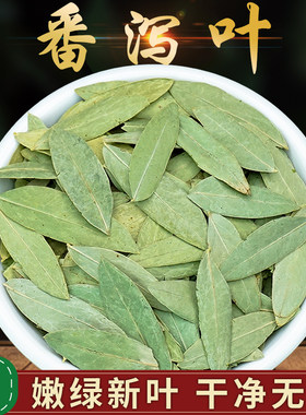 天然500g包邮袋装番茄叶中药材
