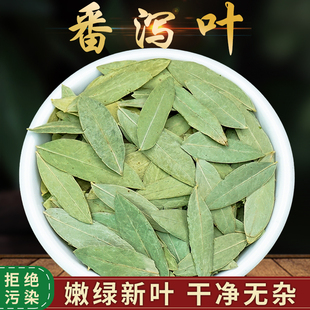 天然番泻叶500g包邮袋装番茄叶中药材蕃泻叶番泻叶粉藩泻叶