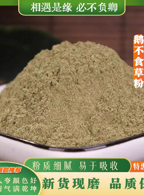 鹅不食草粉中药材超细粉正品石胡蒌干治新鲜鼻涕炎粉末500g中草药