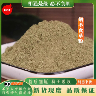 鹅不食草粉中药材超细粉正品石胡蒌干治新鲜鼻涕炎粉末500g中草药